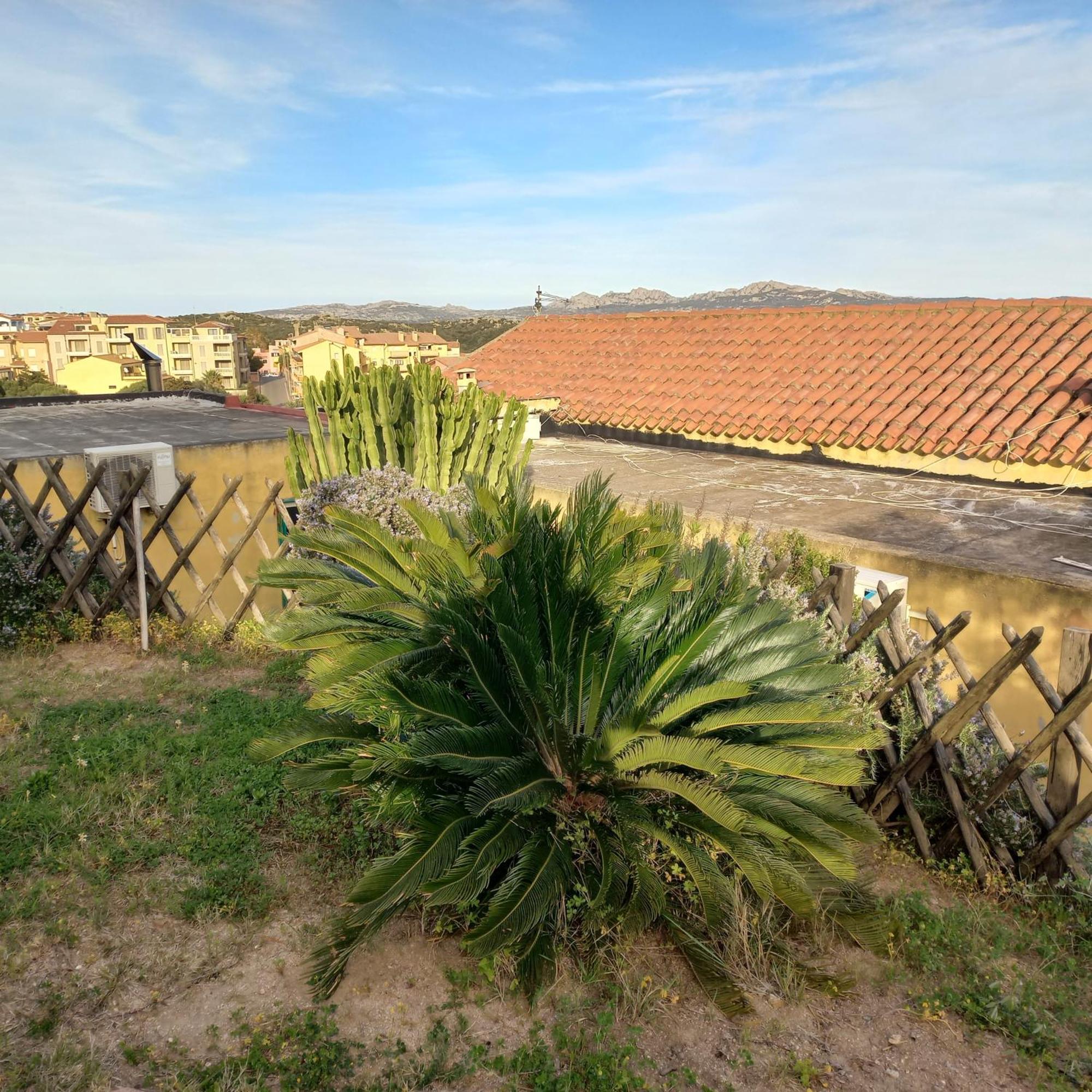 Villa Graziella La Maddalena  Exterior photo